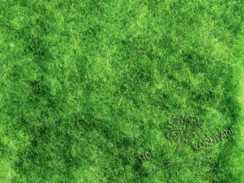 Melange Merino Chromdiopsid