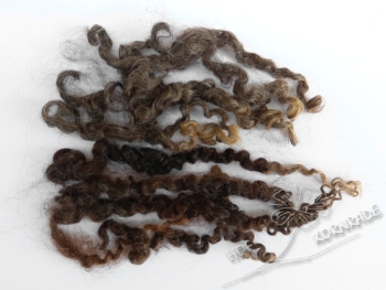 Wensleydale sheep curls 55g
