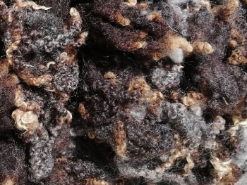 Preview: Blue Faced Leicester (BFL) Schaflocken naturbraun - Sonderposten