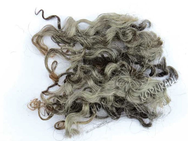 Gotländisches Pelzschaf curls 20g
