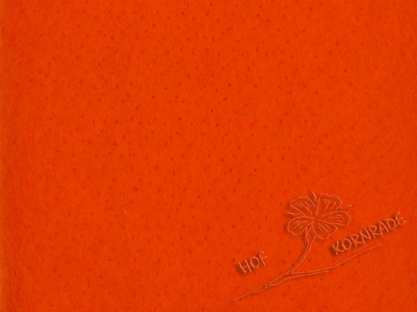 NEW: Needle fleece / Prefelt Orange, 112cm wide, 110g/m²