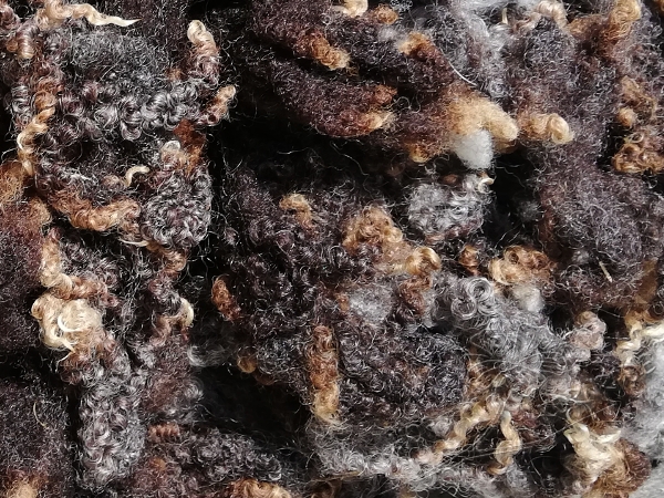 Blue Faced Leicester (BFL) Schaflocken naturbraun - Sonderposten